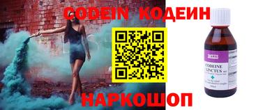 крисы Шахты