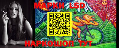 крисы Шахты