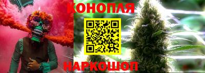 крисы Шахты