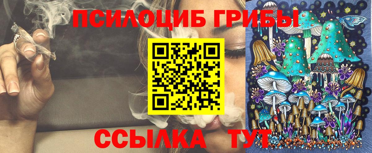 Псилоцибиновые грибы Cubensis  Вход с VPN  Аша 