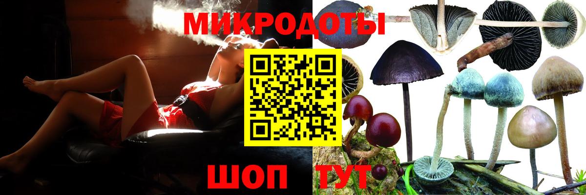 Галлюциногенные грибы прущие грибы Аша